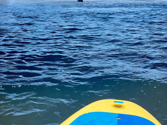 Adventures Kayaking-博尼塔斯普林斯必去景点