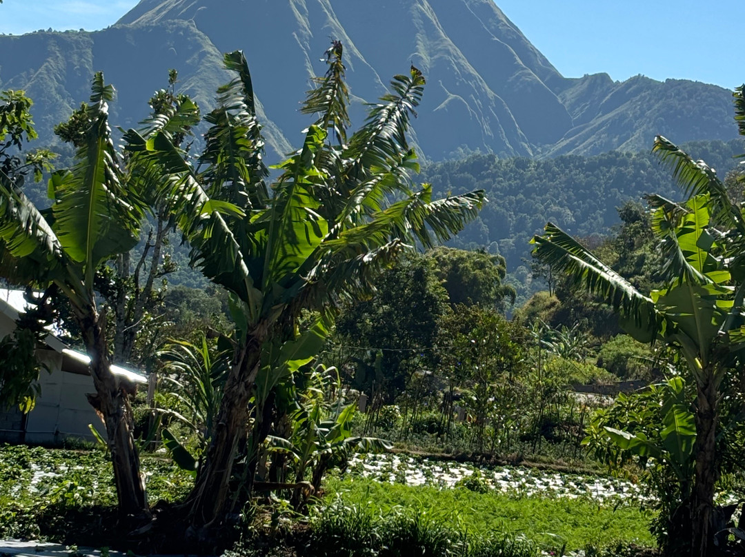 Lombok Bike Trip-Senggigi必去景点