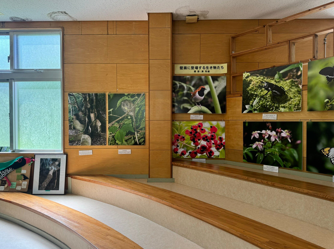 Gallirallus Okinawae Learning Center景点图片