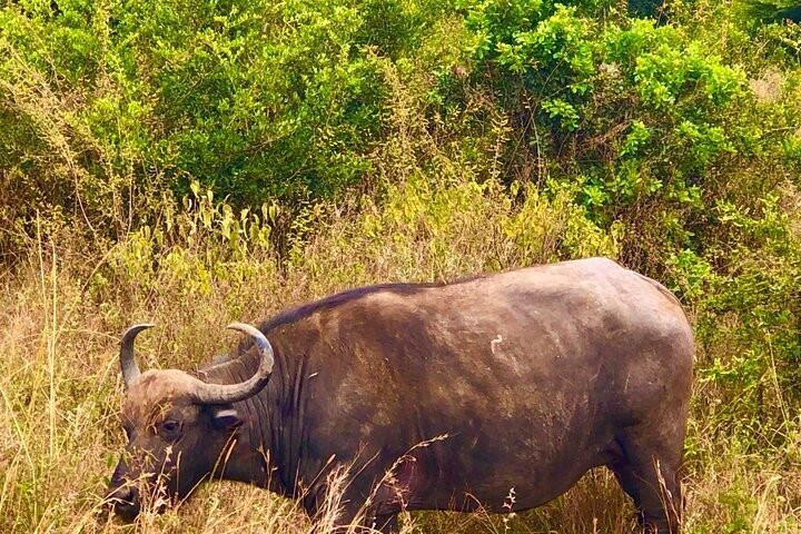 Exellent African Tours景点图片