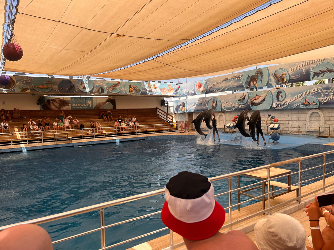 Aksu Dolphinarium景点图片