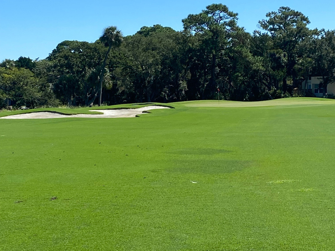 The Plantation Course at Edisto景点图片