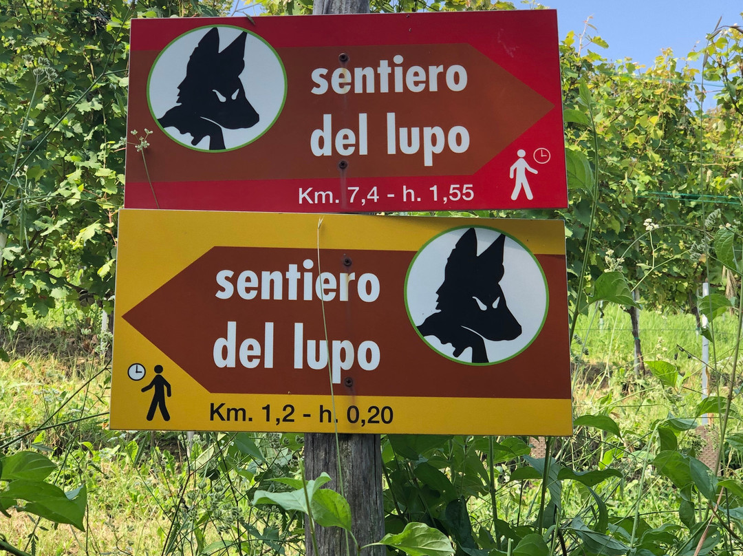 il sentiero del Lupo景点图片