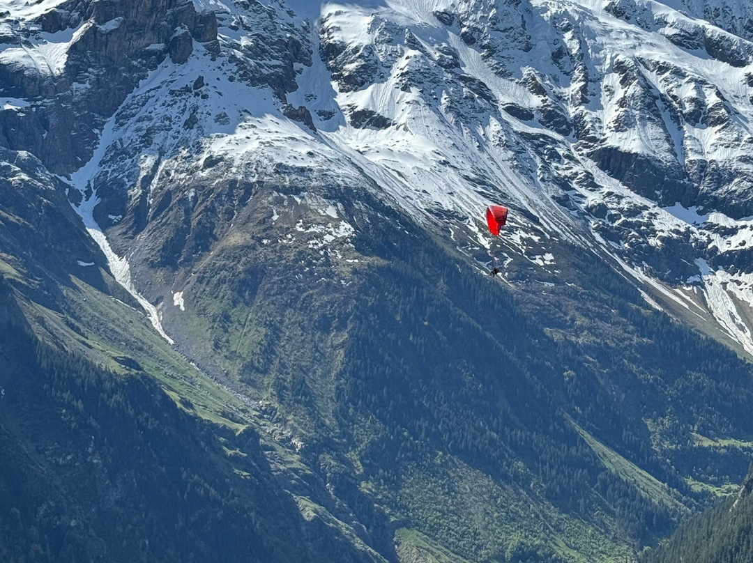 Pure Switzerland - Tours and Guiding景点图片