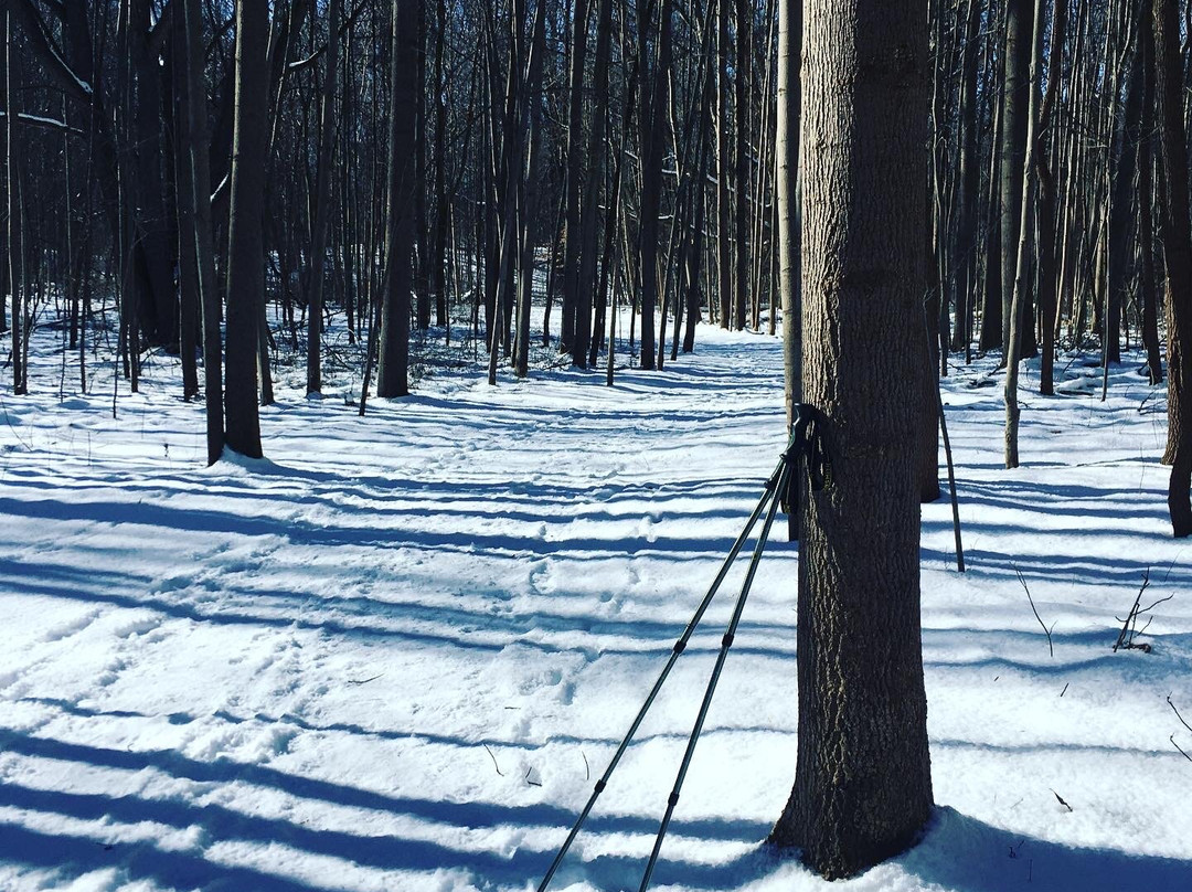 Munroe Falls Metro Park-Munroe Falls必去景点