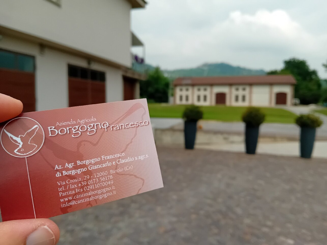 Cantina Francesco Borgogno-巴罗洛必去景点