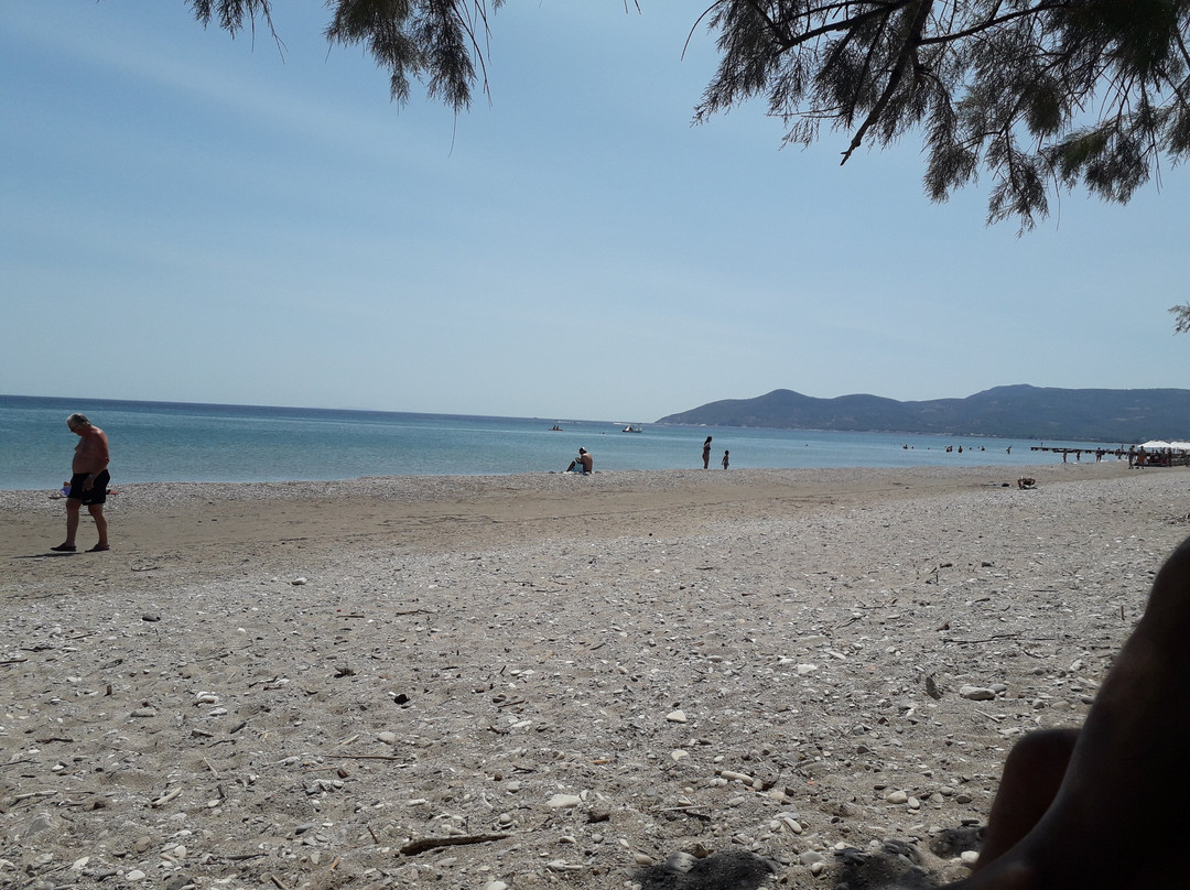 Pythagoreio Beach景点图片