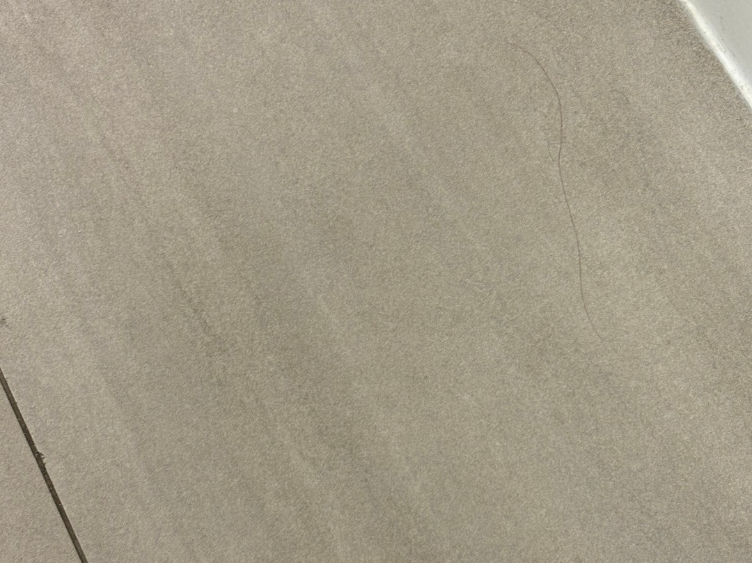 Holiday Inn Express & Suites Newport South by IHG主图