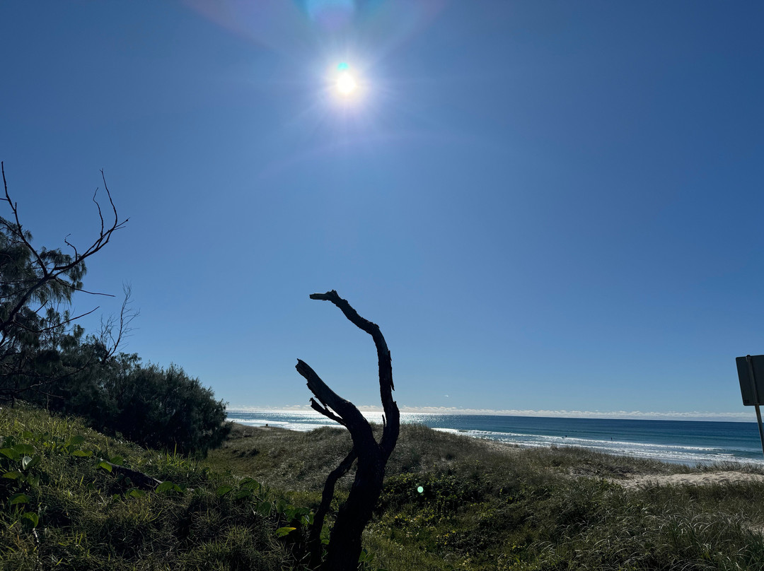 Essence Peregian Beach主图