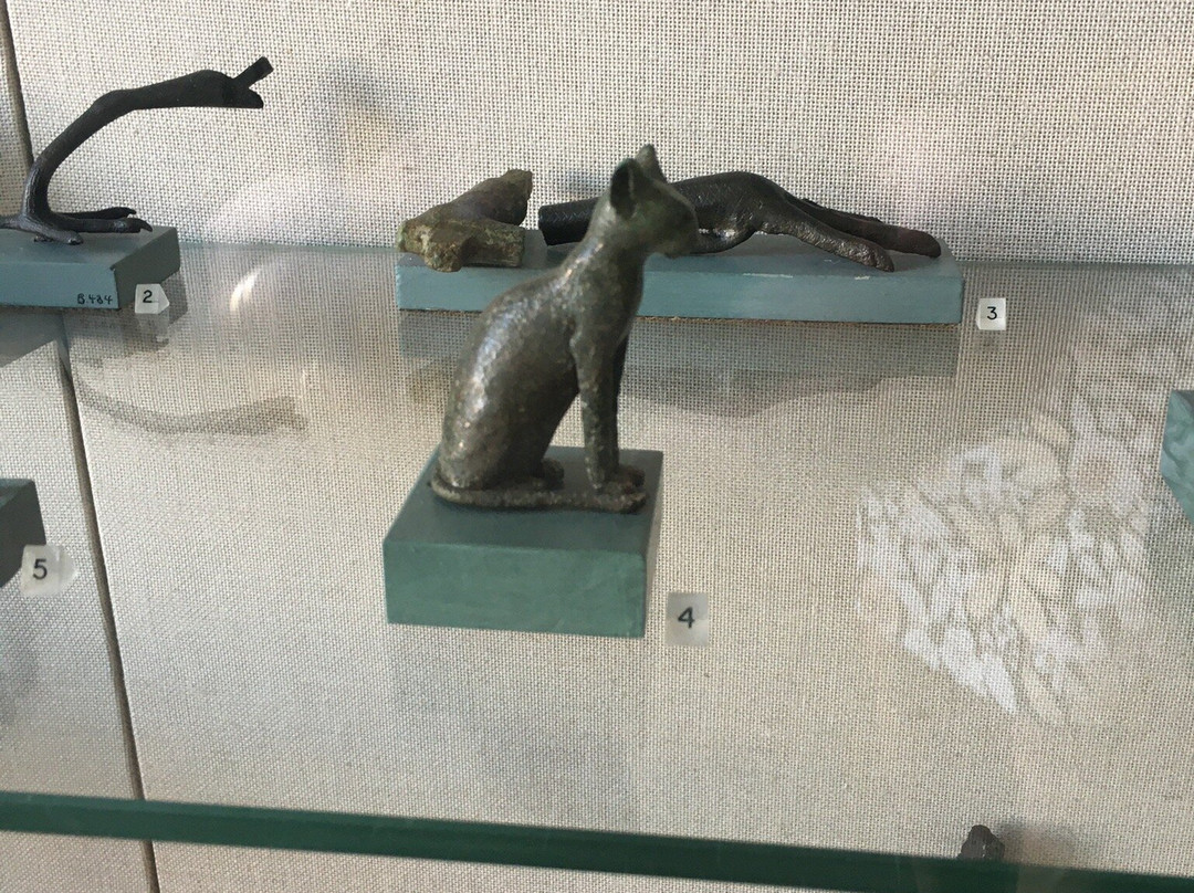 Archaeological Museum景点图片
