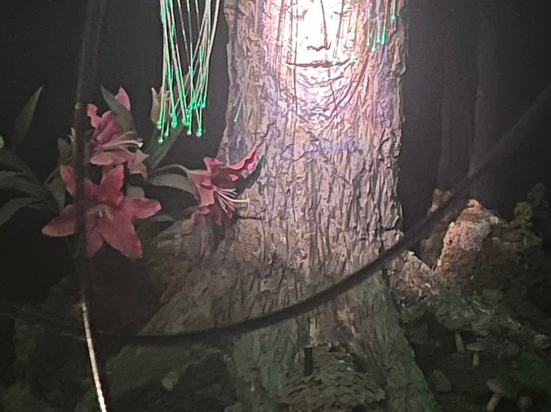 Miripili, L'Ile Aux Pirates景点图片