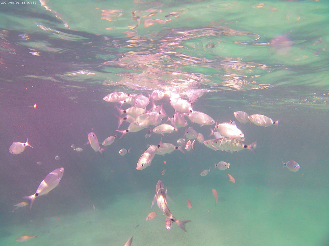 Santa Manza Croisière-博尼法乔必去景点