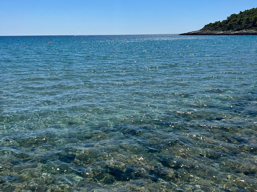 Vela Przina Beach景点图片