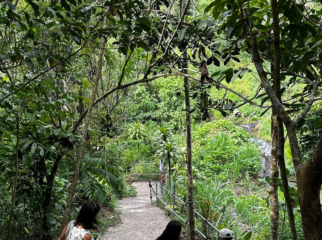 Bali Happy Tour Guide景点图片