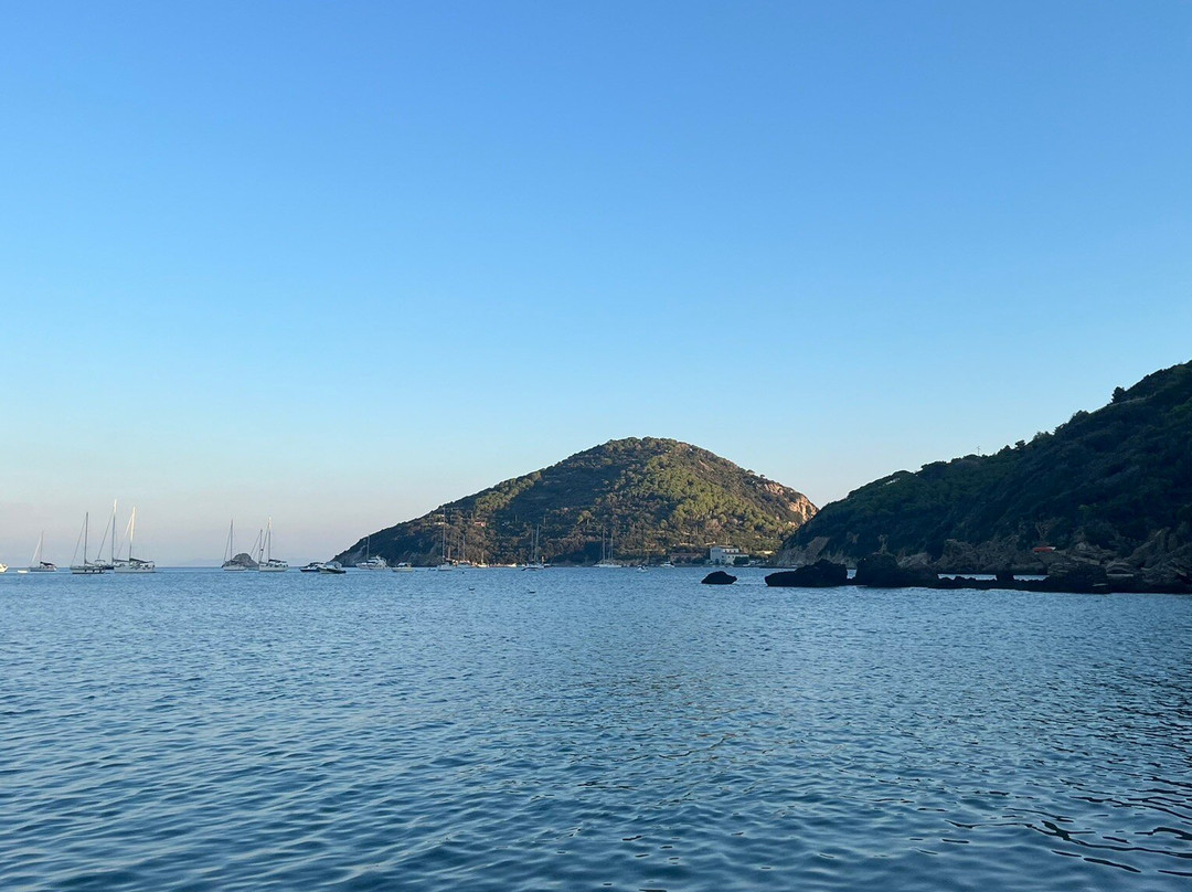 Viticcio Beach景点图片