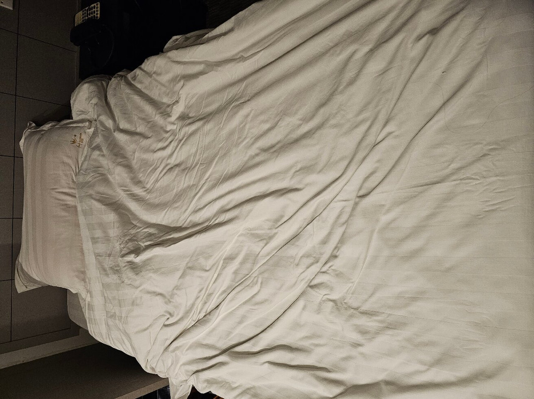 豪门大酒店主图