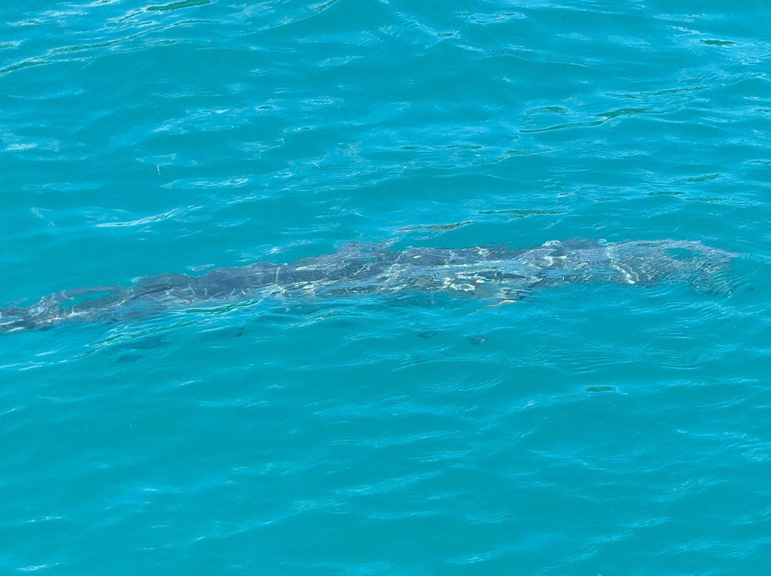 Magic Moments Luxury Excursions-圣 托马斯必去景点