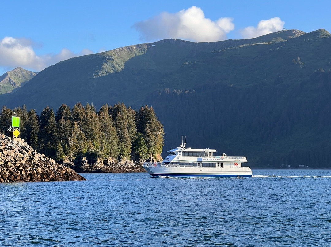 Seldovia Bay Ferry-荷马必去景点