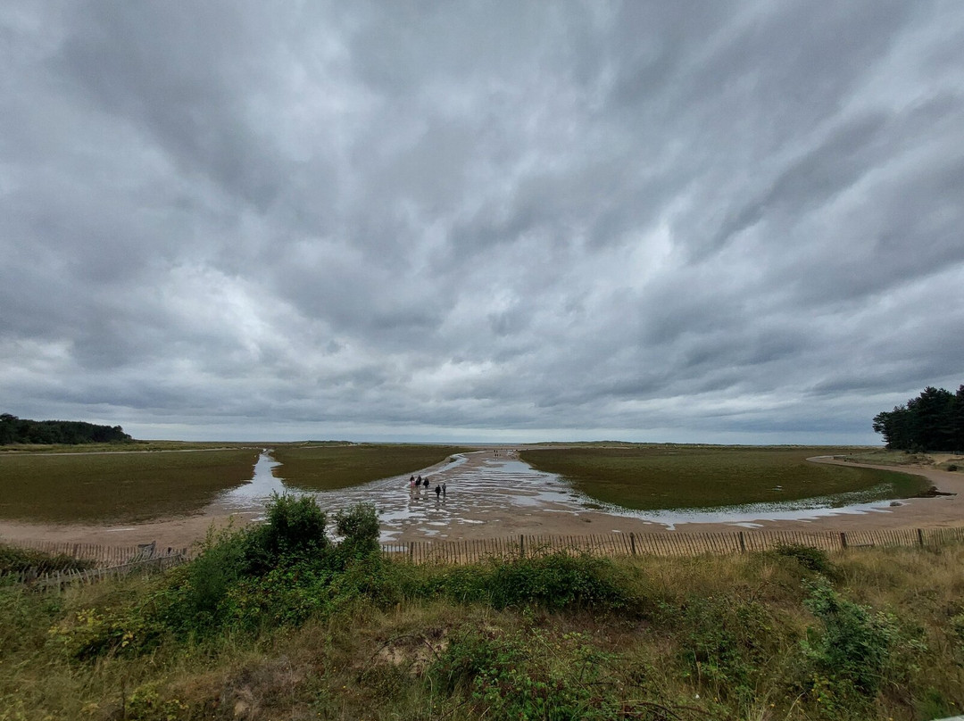 Holkham National Nature Reserve-Holkham必去景点