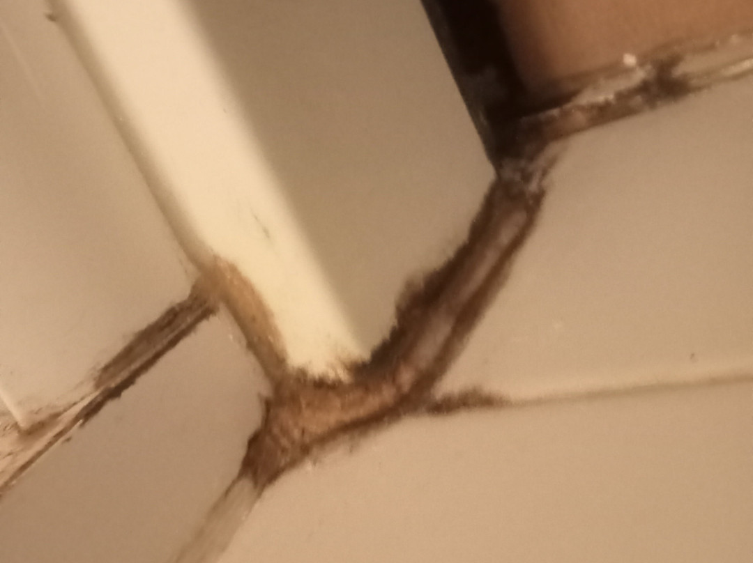 Waterfront Hotel主图