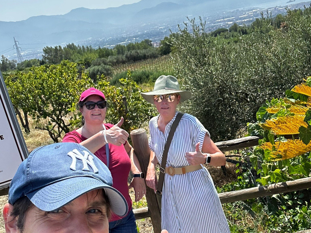 Don Pedro di Antonino Pietro Caccaviello-索伦托必去景点