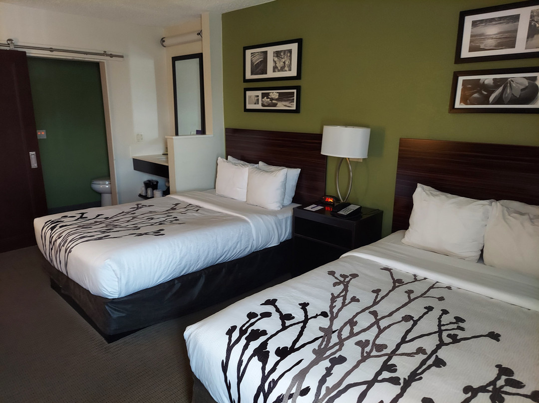Sleep Inn Allentown - Fogelsville主图
