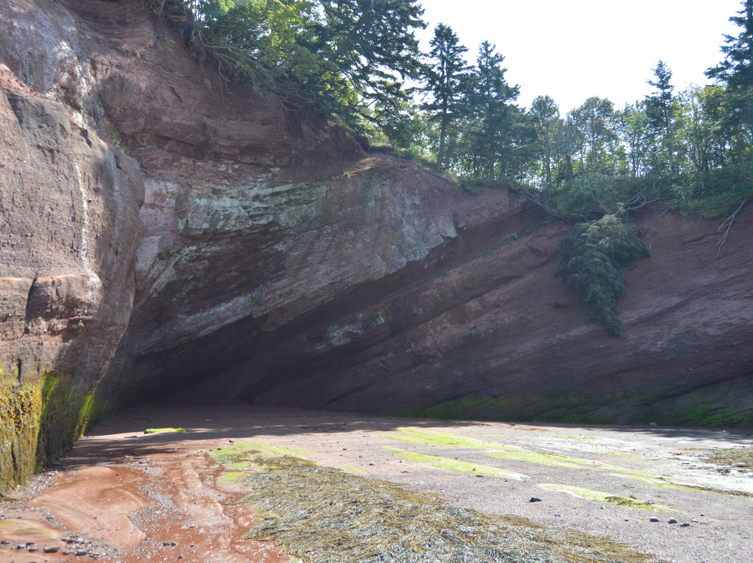 St. Martins Sea Caves-St. Martins必去景点