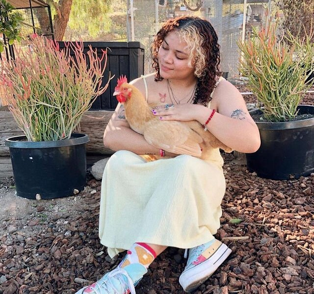 Love Always Sanctuary-洛杉矶必去景点