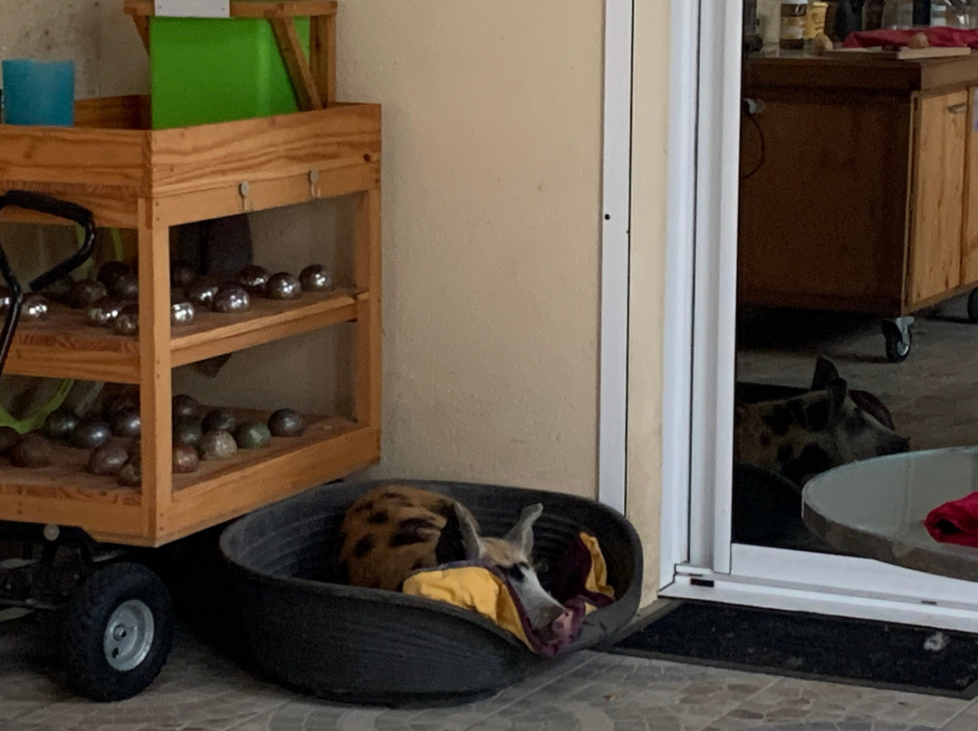 Maison d'Hotes Camping La Prevote主图