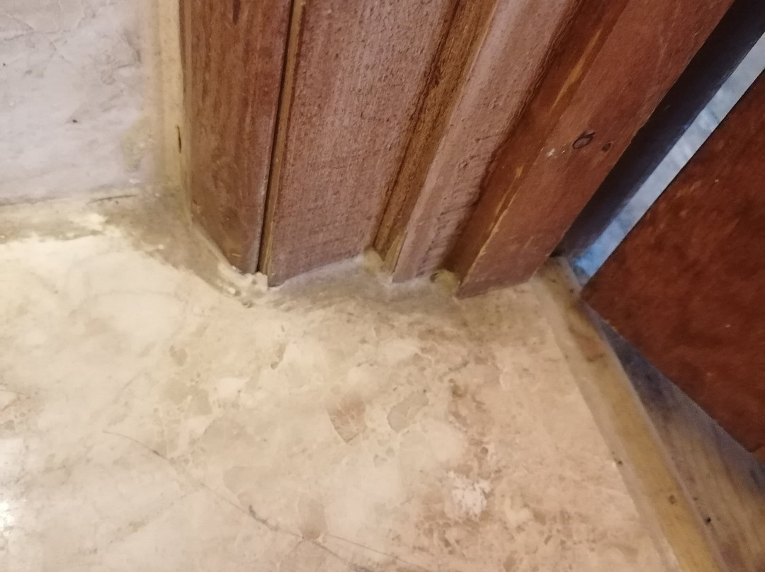 Tennyson Court主图