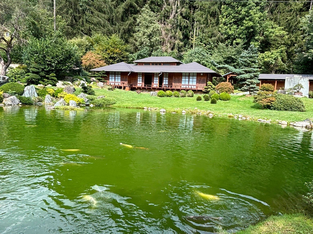 Bonsaimuseum景点图片