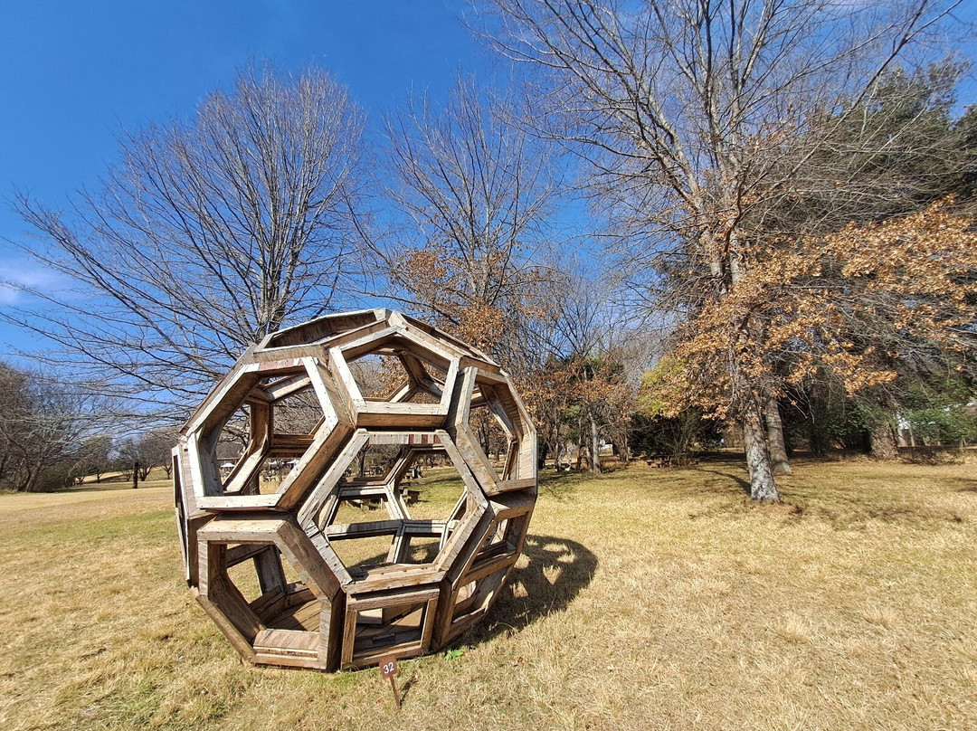 Nirox Sculpture Park景点图片