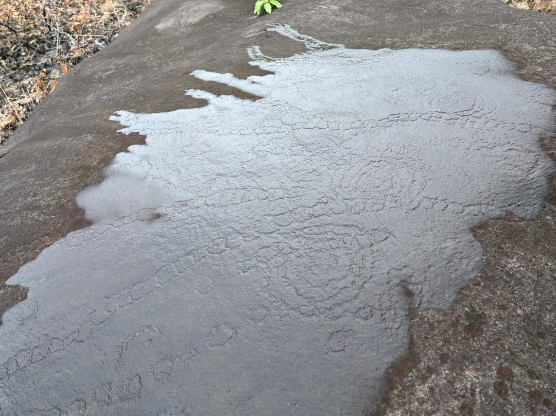 洛佩生态系统与文化遗迹景观-Lope Wildlife Reserve必去景点