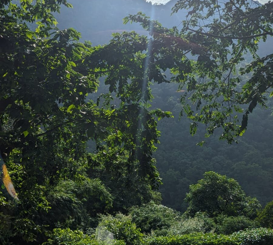 The Roseate Ganges Rishikesh主图