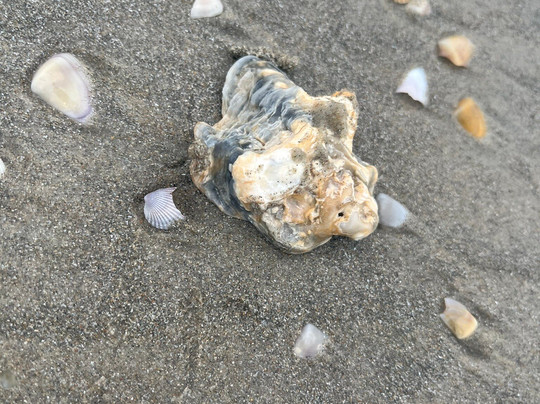 Carmona Beach-卡维洛辛必去景点