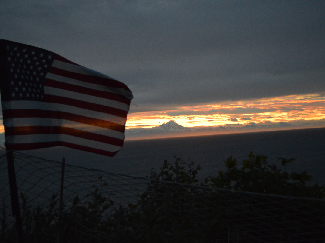 Whiskey Point Cabins & RV Park