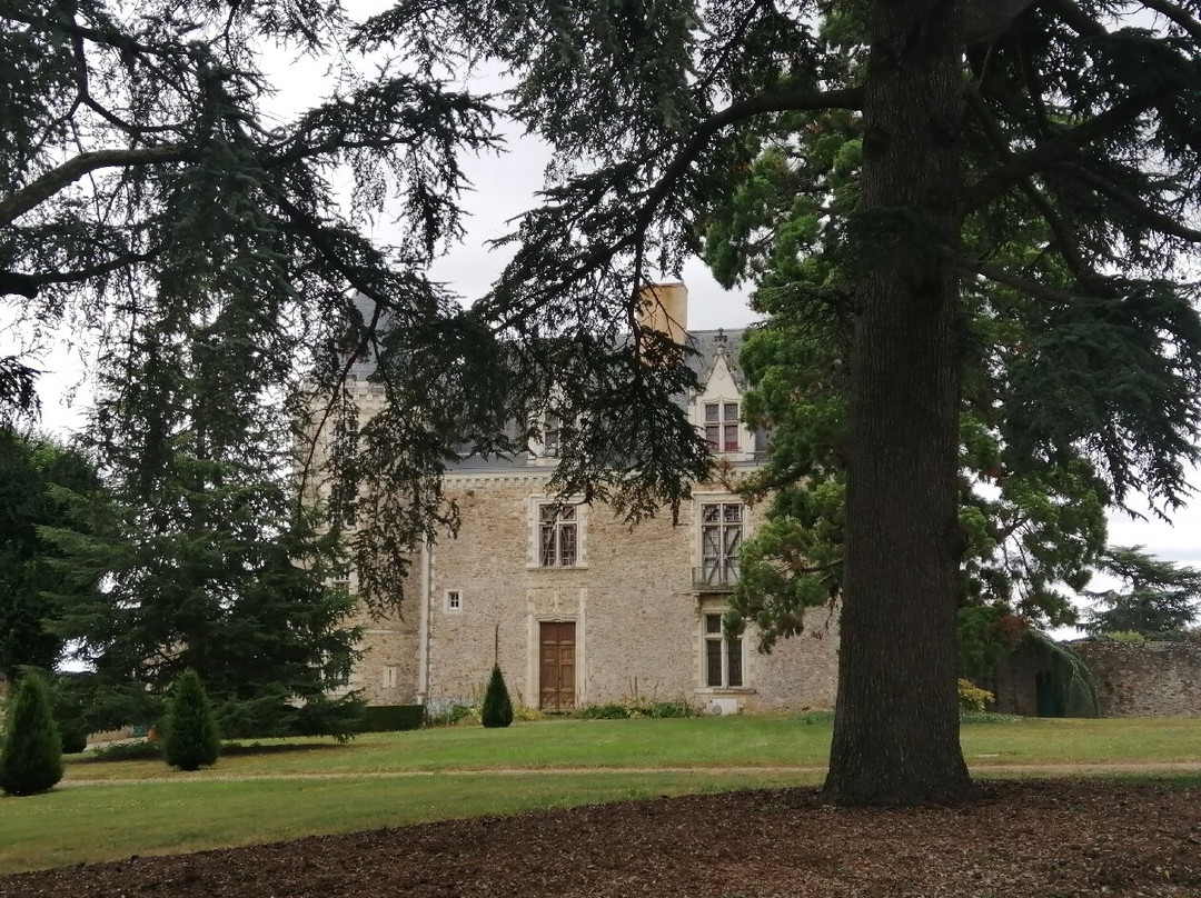 Musée-château de Villevêque景点图片