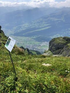 Chäserrugg (Toggenburg)景点图片