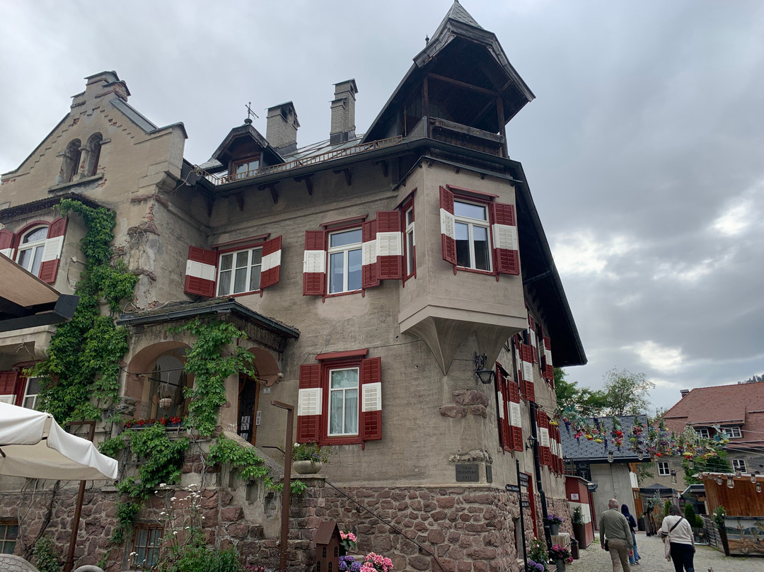 Villa Wachtler景点图片