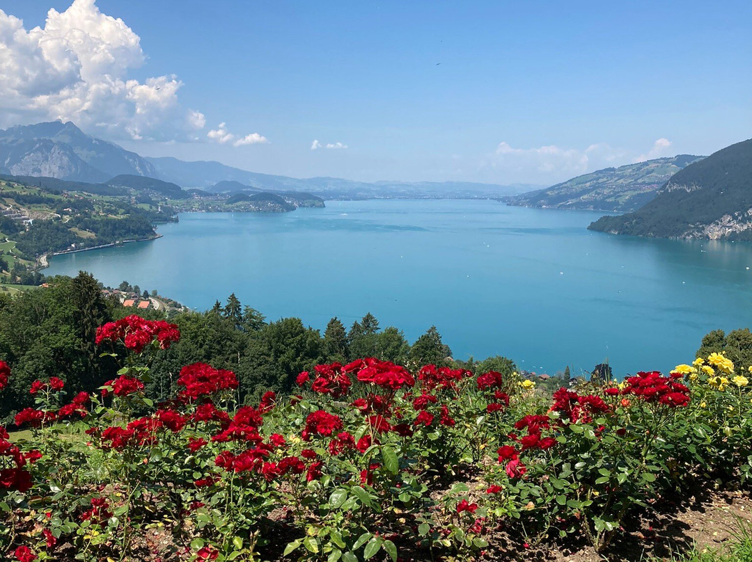 Hotel Meielisalp主图