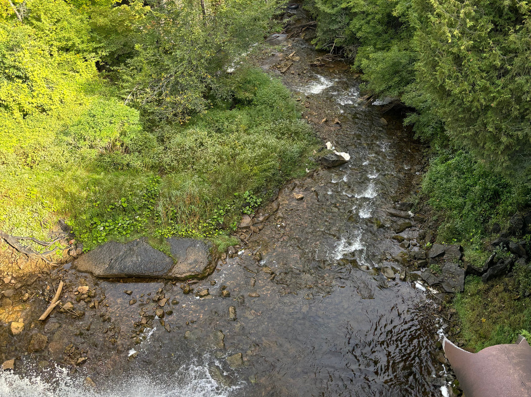 The Falls Inn & Spa主图