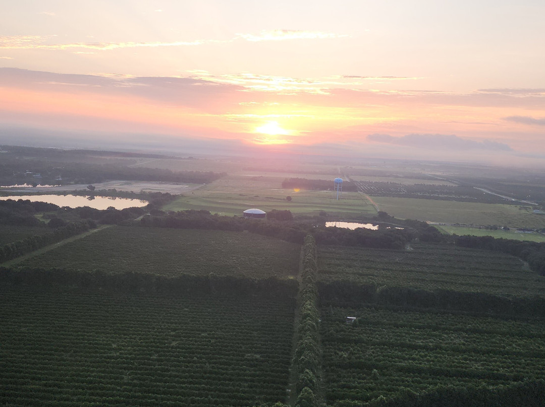 Sky Pirates Ballooning-ChampionsGate必去景点