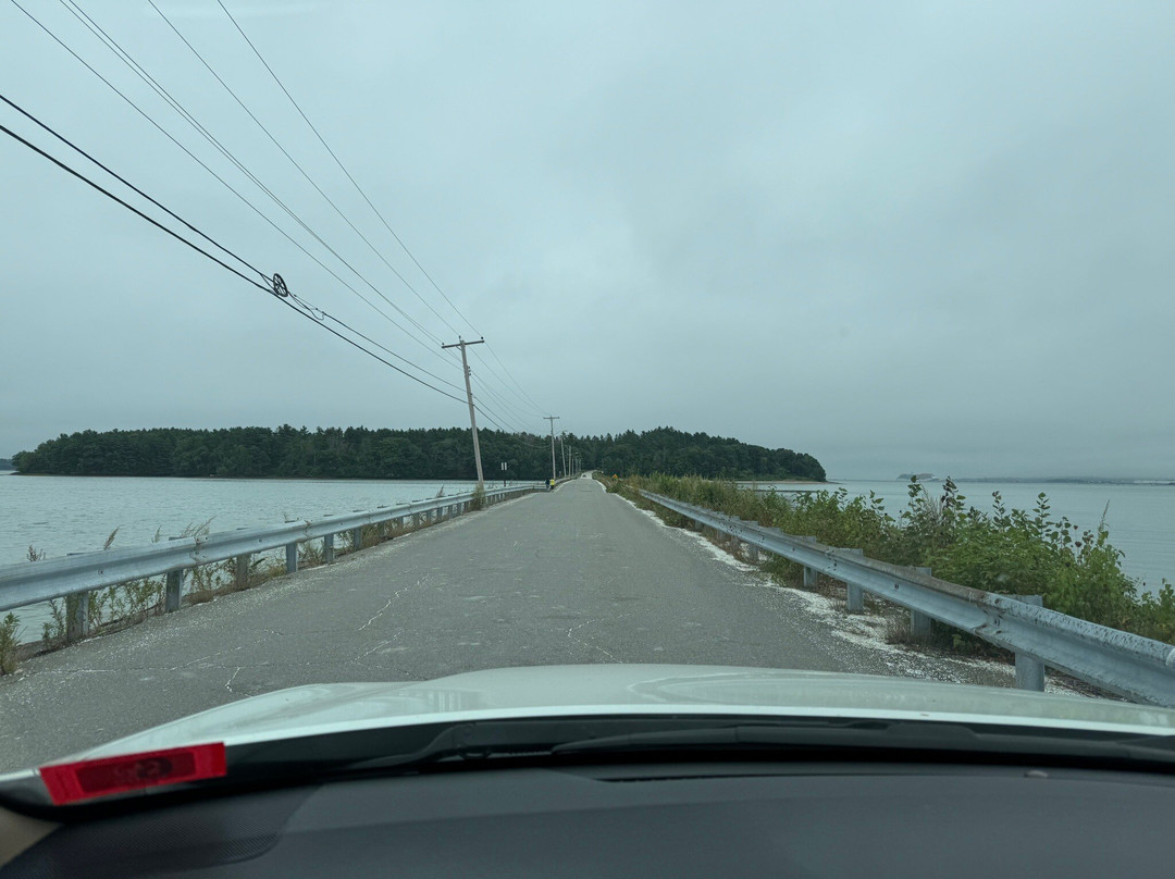 Mackworth Island State Park景点图片