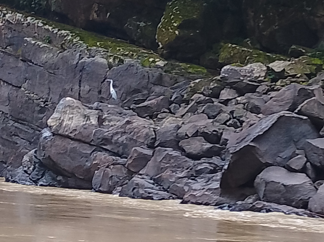 Raudales Rio Guayabero-La Macarena必去景点