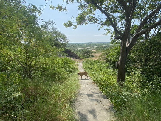 Cerro del Muerto-Morro必去景点