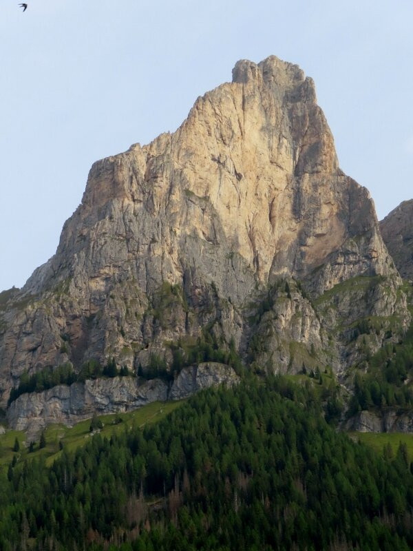 Monte Cernera景点图片