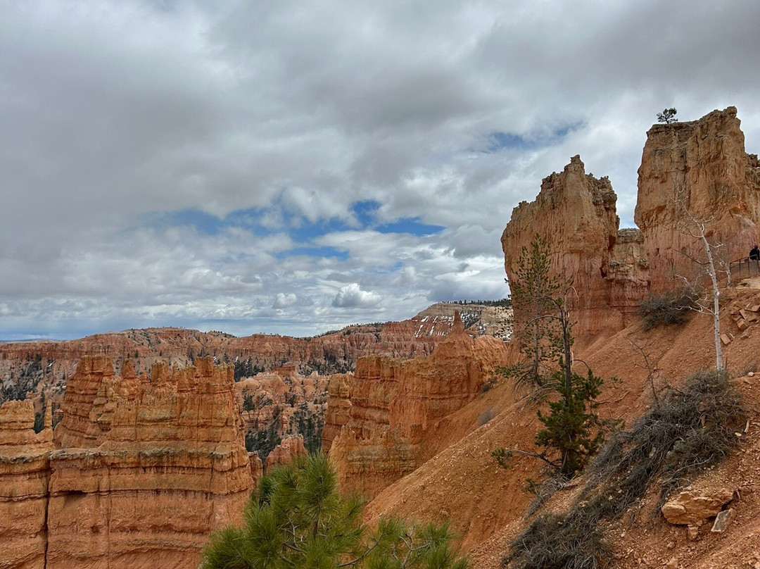 Rim Trail-布莱斯峡谷国家公园必去景点