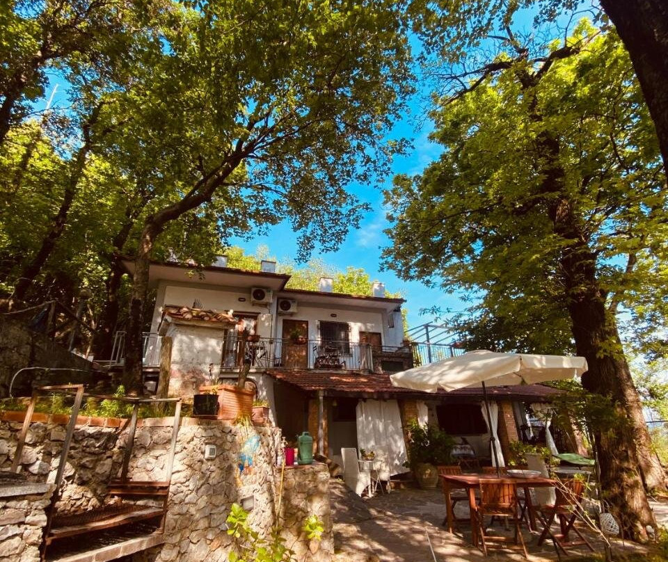 Rifugio Angelina主图