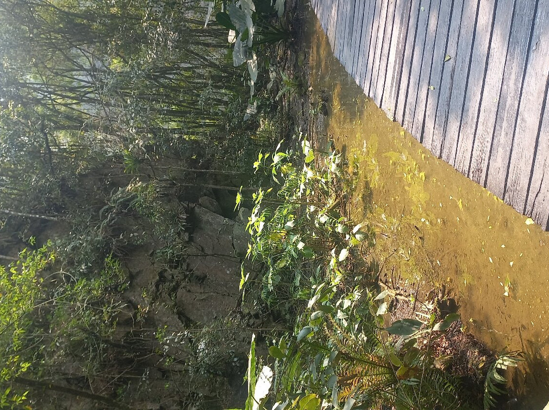 UNILIVRE Universidade Livre do Meio Ambiente-库里提巴必去景点