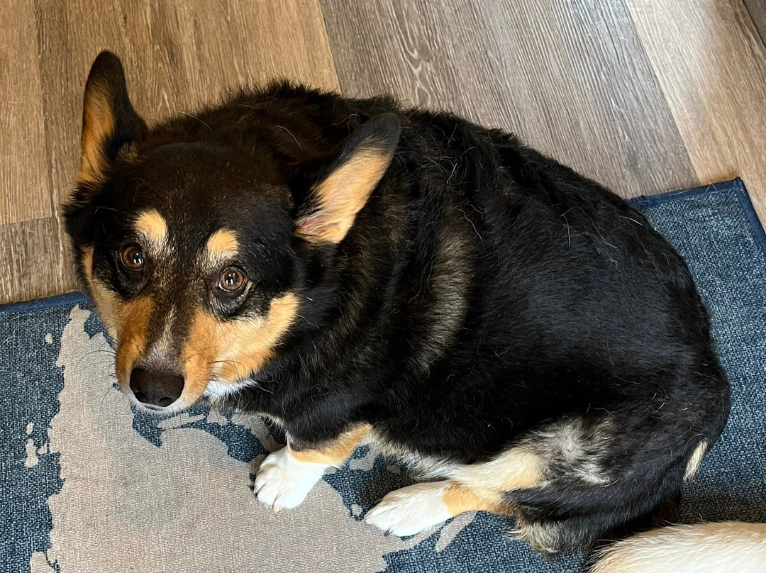 The Tern Inn Bed & Breakfast主图